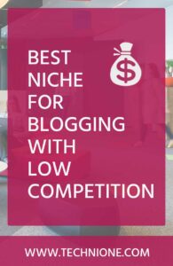 The Best Niche for Blogging With Low Competition